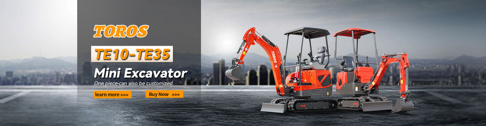 Excavateur mini Toros
