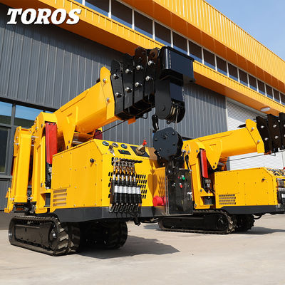 1 Ton Spider Crawler Crane Tracked Mini Crane High Performance